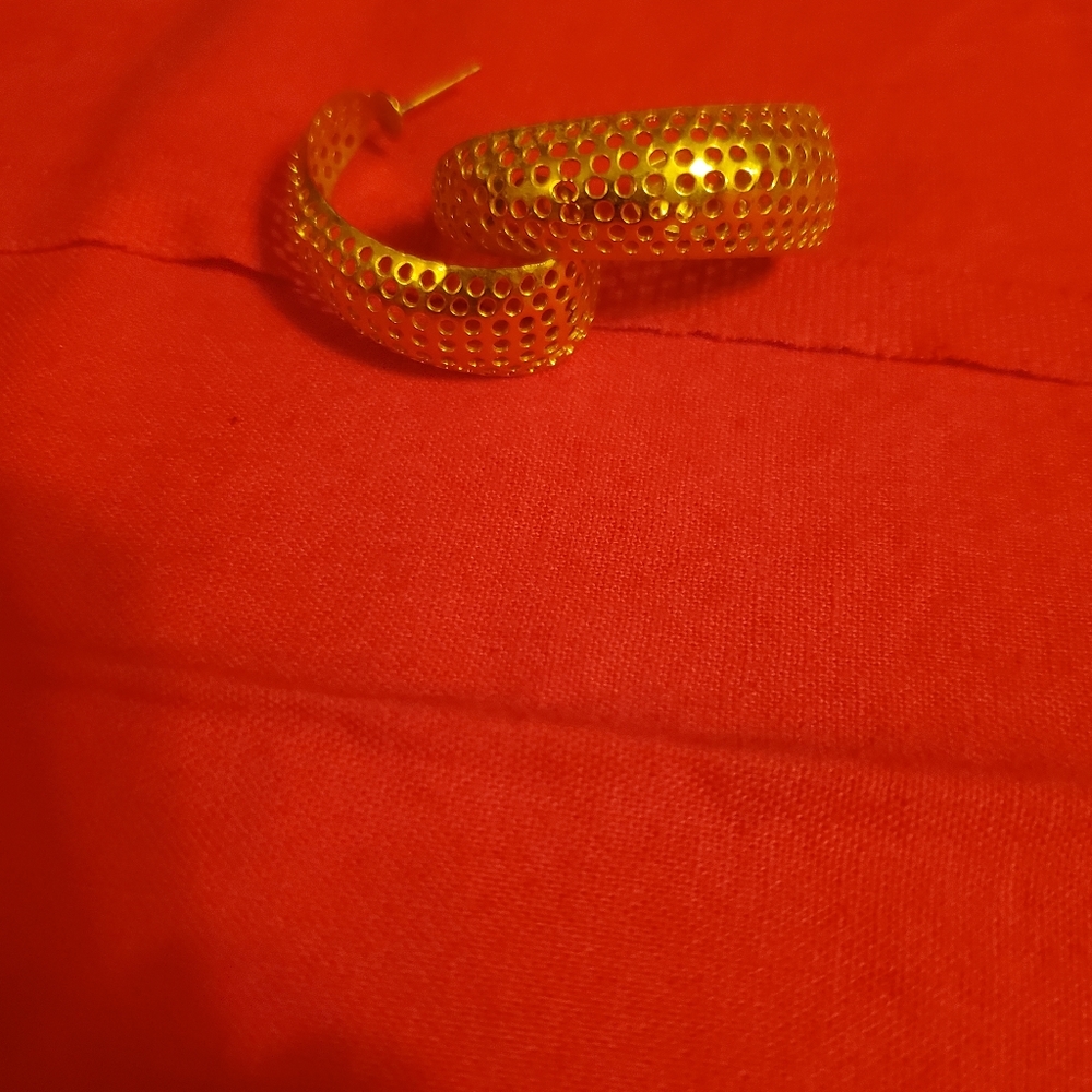 Gold Mesh Hoop Earrings